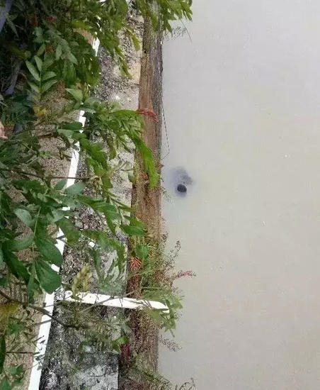 1458613893701719.jpg 1.jpg