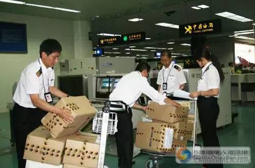 海關新政第一天 出境游的中國人哭著回來了