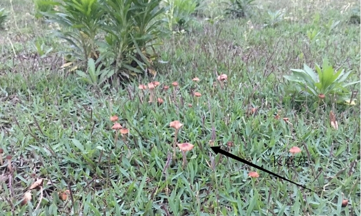 1461659459514186.png blob.png