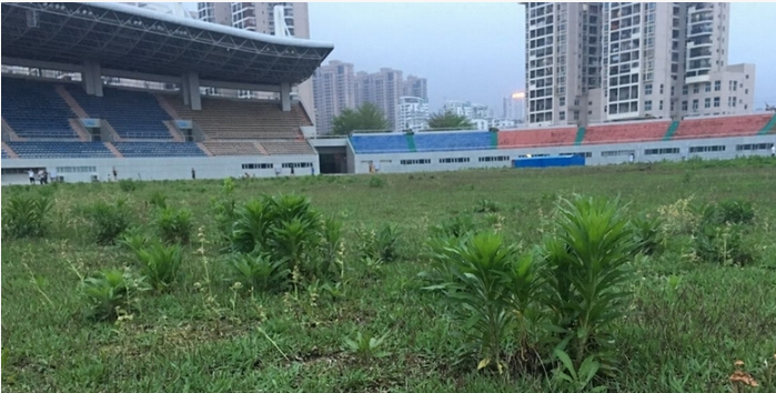 1461659472140498.png blob.png