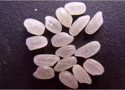 1462244377674221.jpg 15972555_550x550_0.jpg