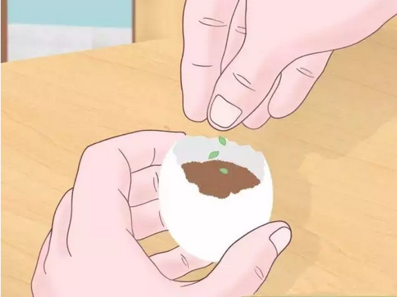 1463716946331602.png 1463716937435438.png