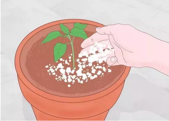 1463717060848156.png blob.png