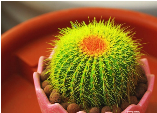 1464947681647197.png blob.png