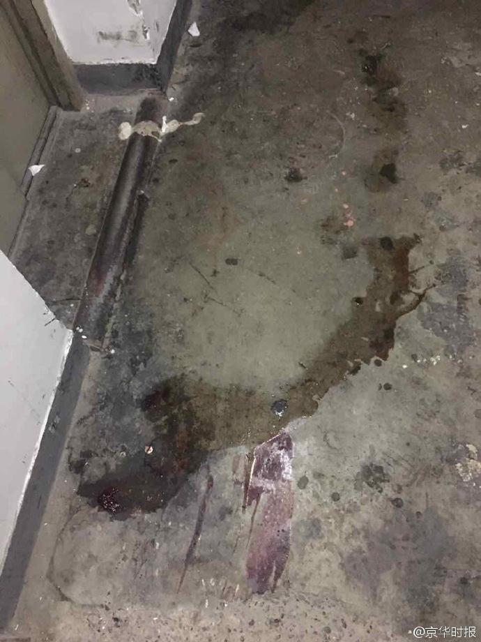 1465346759304105.jpg 8.jpg