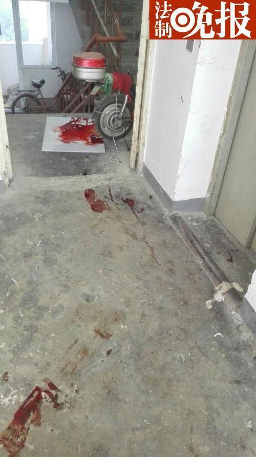 1465346783430360.jpg 9.jpg