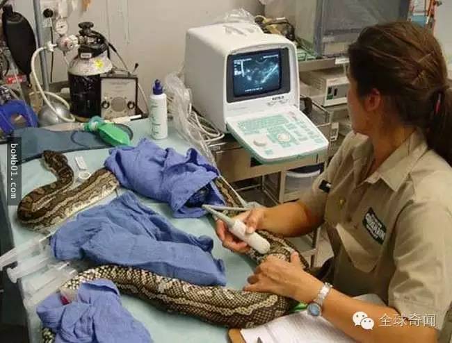 1466493503105083.jpg 38c93d0e5dc5e174dc75b0109e8b6eb3.jpg