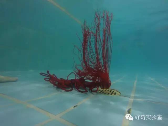 1466753717112588.jpg 640 (5).jpg