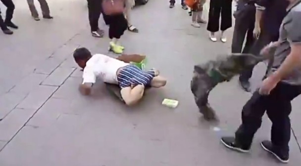 1467429966129603.jpg 3.jpg