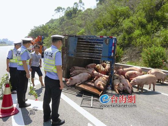 1469431535120187.jpg VSlt-fxuifip3046732.jpg