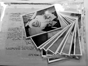 1470909932875954.jpg W020160811264769636700.jpg