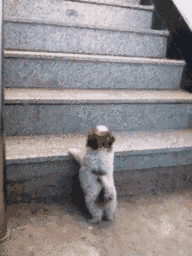 1472365327972044.gif 0.gif