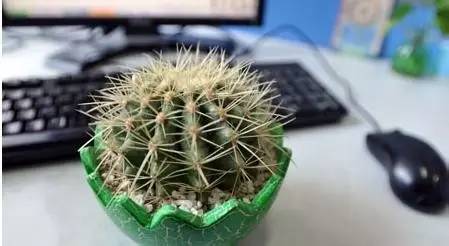 1472438570465560.jpg 640 (2).jpg