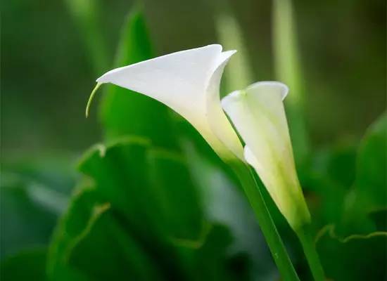 1473302071125480.jpg 640 (4).jpg