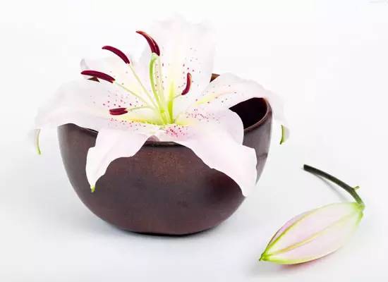 1473302082116792.jpg 640 (5).jpg