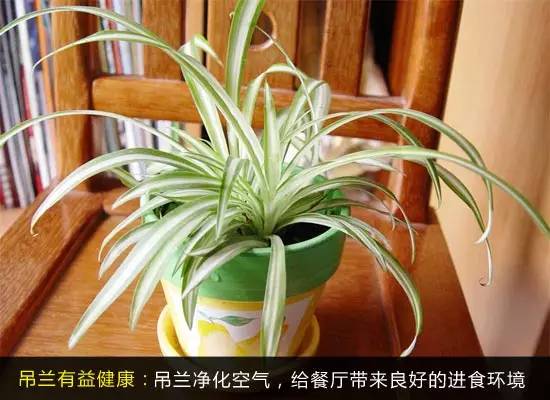 1473302087226304.jpg 640 (6).jpg