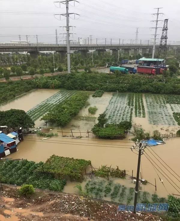 1475047520723794.jpg 0 (5).jpg