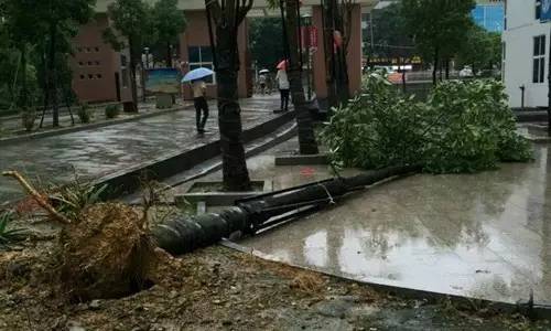 1475047638612428.jpg 0 (19).jpg