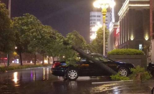 1475047662138407.jpg 0 (22).jpg