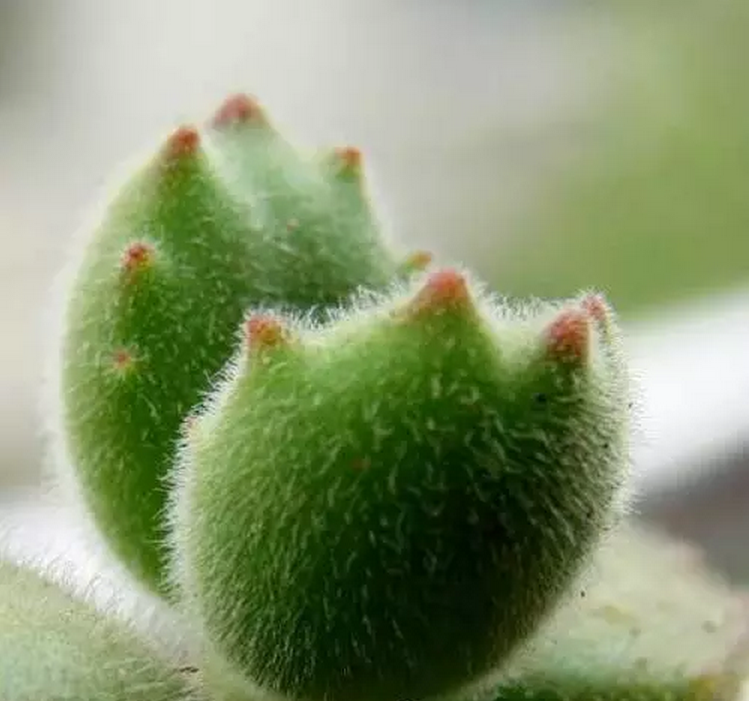 1475716582121650.png QQ截圖20161006091405.png