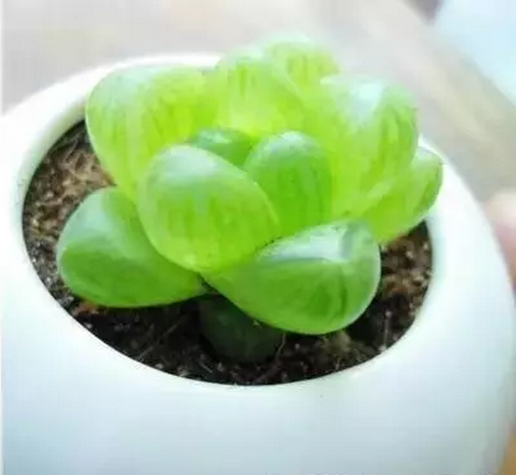 1475716589149922.png QQ截圖20161006091416.png