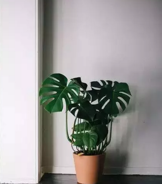 1475716604114051.png QQ截圖20161006091439.png