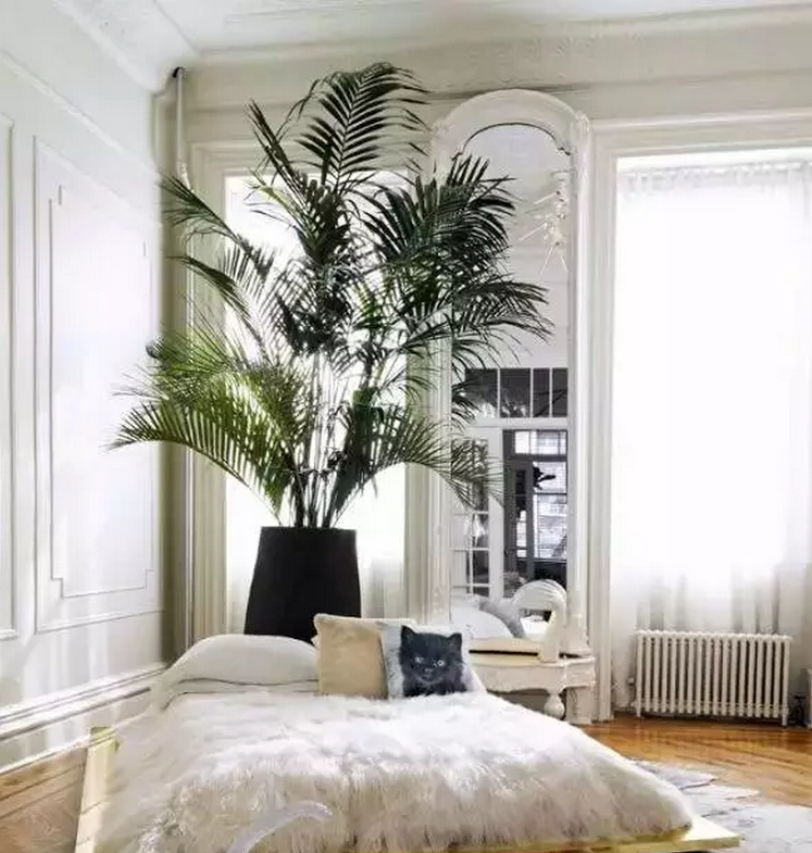 1475716616128010.png QQ截圖20161006091459.png