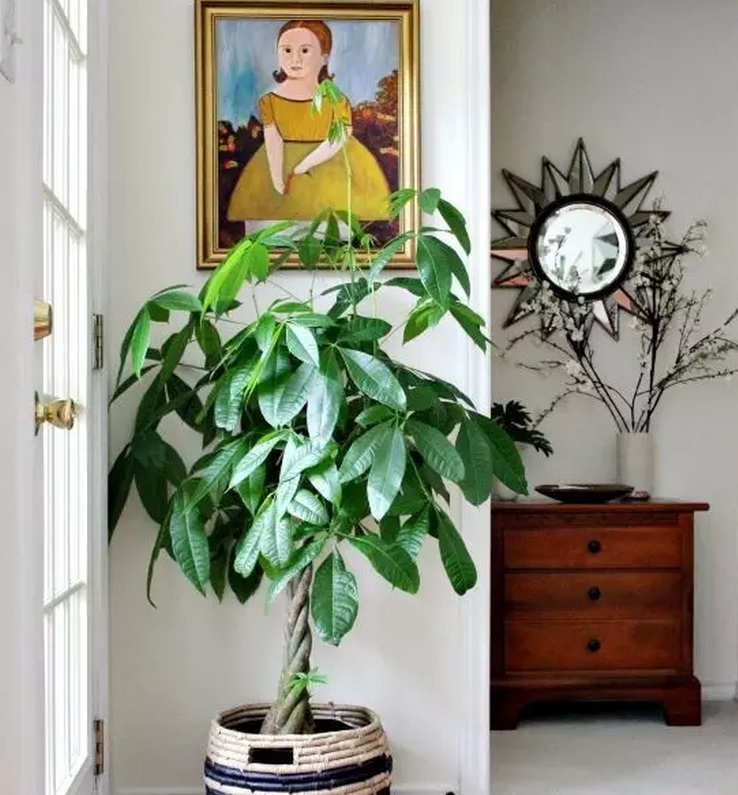 1475716627861496.png QQ截圖20161006091509.png