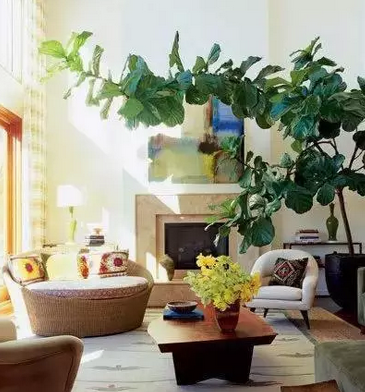 1475716635231769.png QQ截圖20161006091519.png