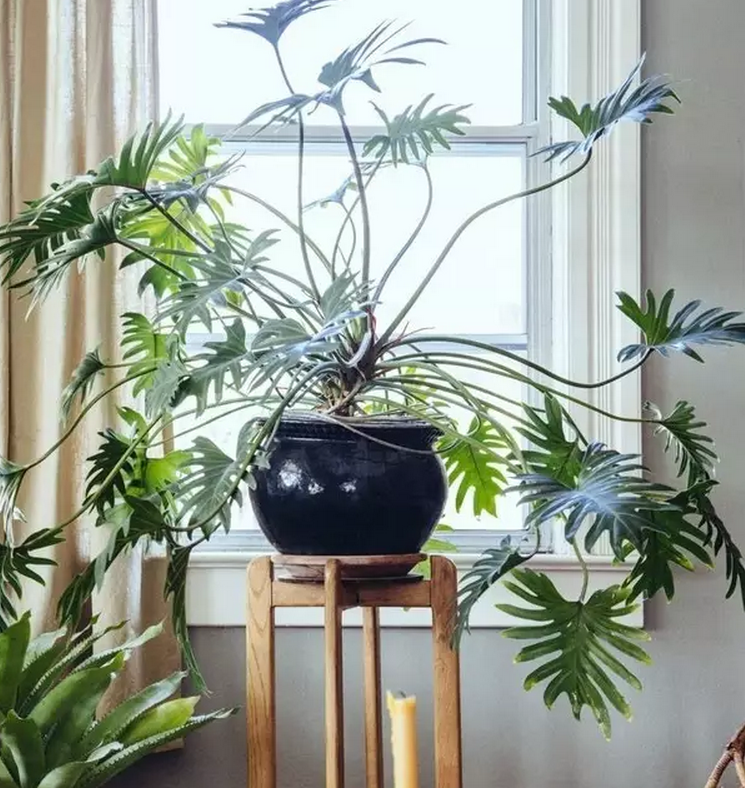 1475716644117145.png QQ截圖20161006091529.png