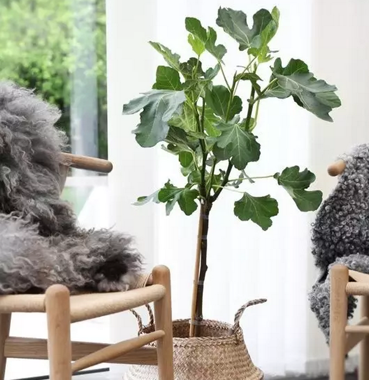 1475716689107235.png QQ截圖20161006091544.png