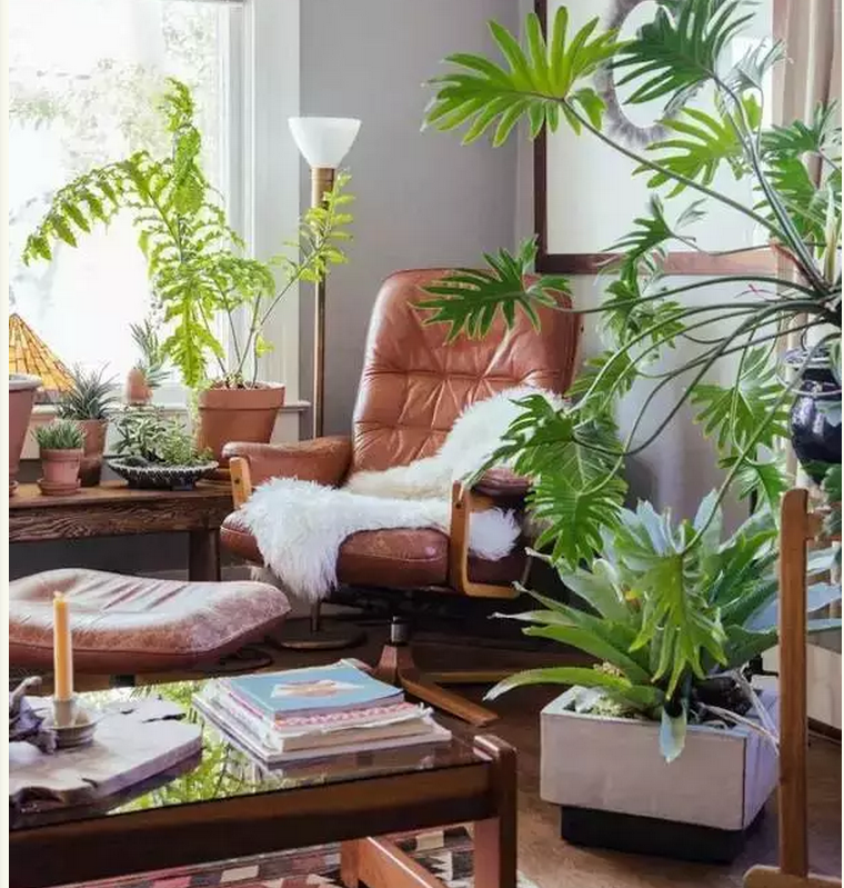 1475716713491336.png QQ截圖20161006091354.png