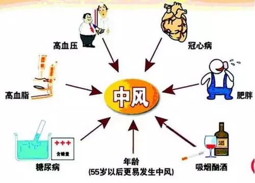 1477725323710712.jpg 640.webp (1).jpg