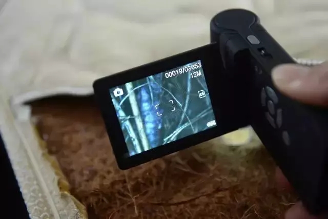 1478658495122016.jpg 0.webp (2).jpg