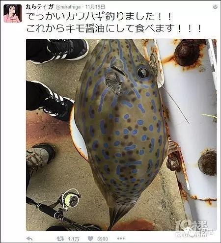 1480148336188436.jpg 0.webp.jpg