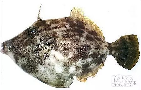 1480148342975659.jpg 0.webp (1).jpg