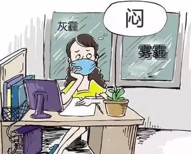 1480985575276823.jpg 640.webp (4).jpg