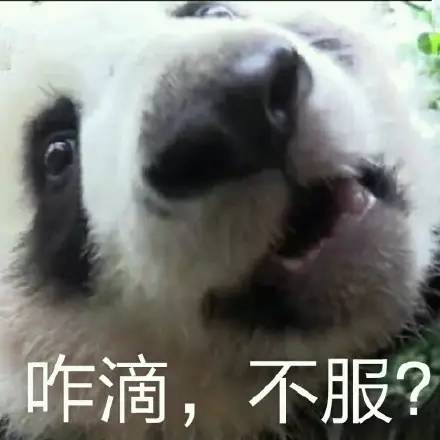 1481010383776379.jpg 640 (9).jpg