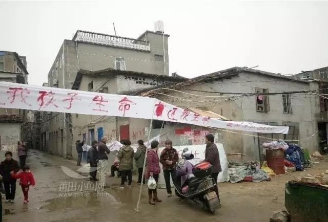 1484266993440860.jpg 7.jpg