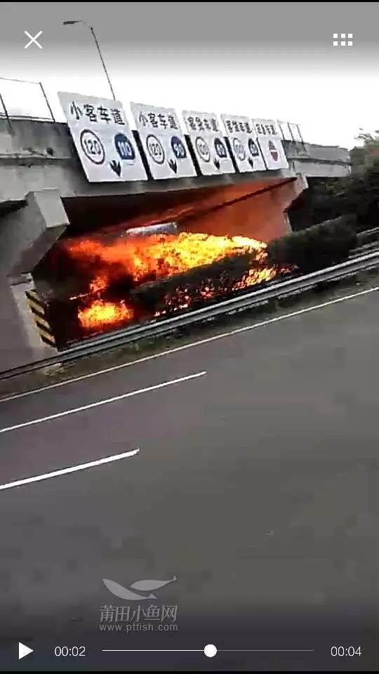 1484442103730249.jpg 13.jpg