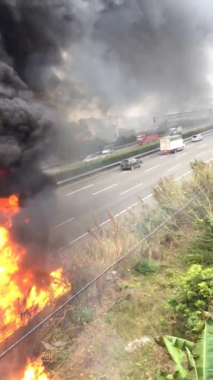 1484442116628866.jpg 15.jpg