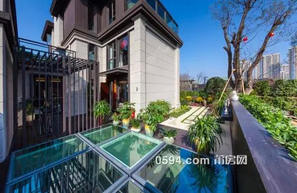 1484872411385564.jpg 1.jpg