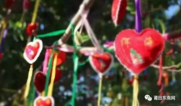 1487120884132499.jpg 8.jpg