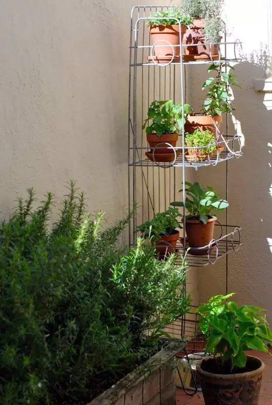 1487210022284741.jpg 18.jpg