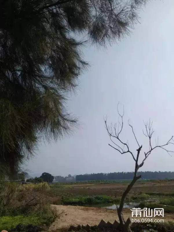 1487293748130536.jpg 2.jpg