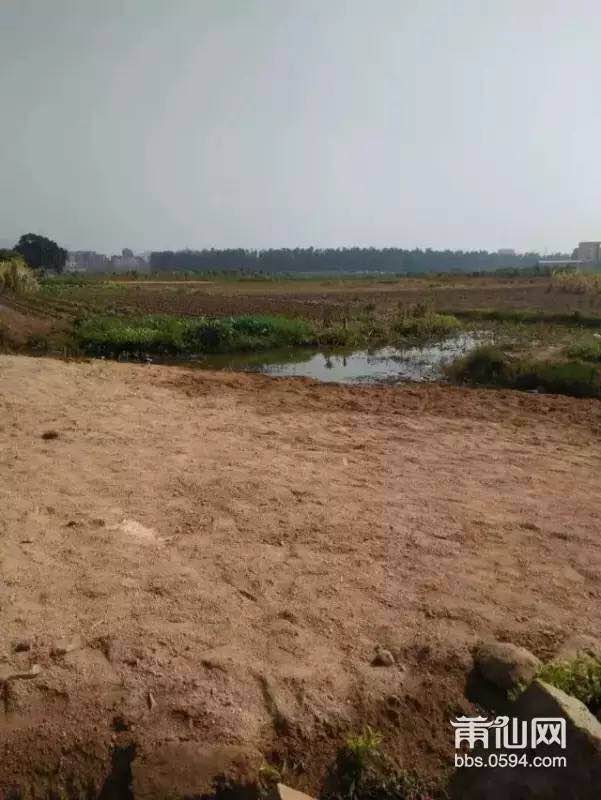 1487293758248766.jpg 3.jpg