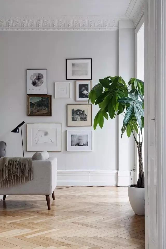 1487379330204443.jpg 5.jpg