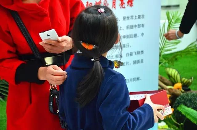 1487464415117765.jpg 18.jpg