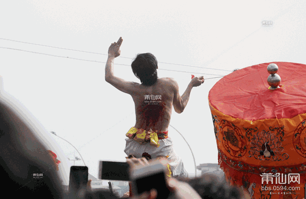 1487638069124465.gif f54d844.gif