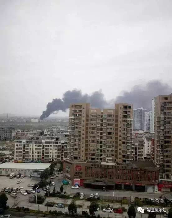 1489625778445077.jpg 2.jpg